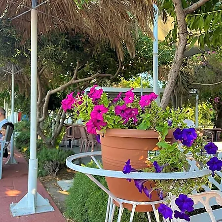 Hotel Theodorou